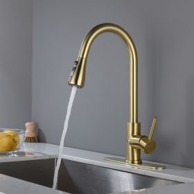 Stainless steel kitchen faucet